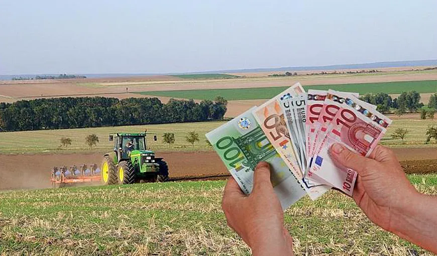 Subvenţii pentru fermieri. Încep plăţile în avans de până la 70% pe suprafaţă