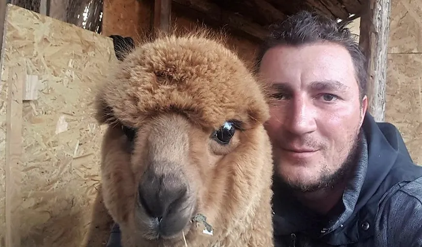 Alpaca poliţistului Marian Godină a devenit vedetă internaţională