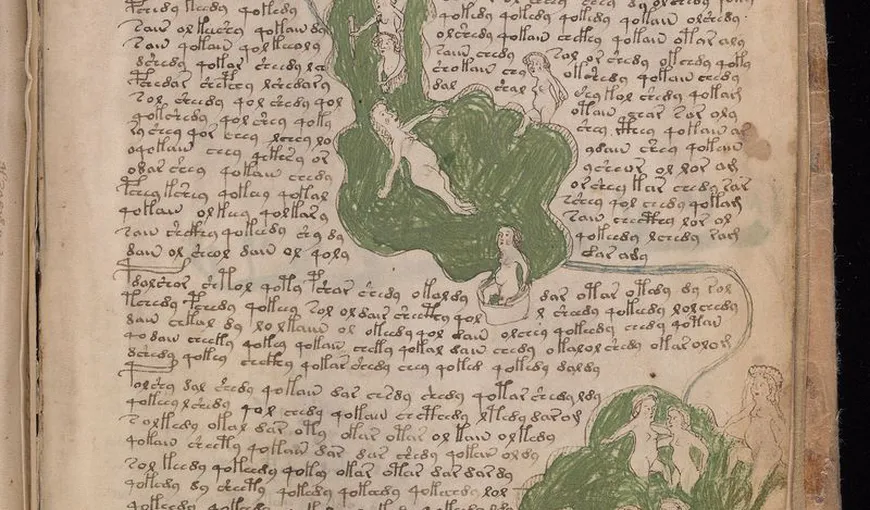 Incredibil! Un strămoş al limbii române, găsit în cel mai misterios manuscris din lume