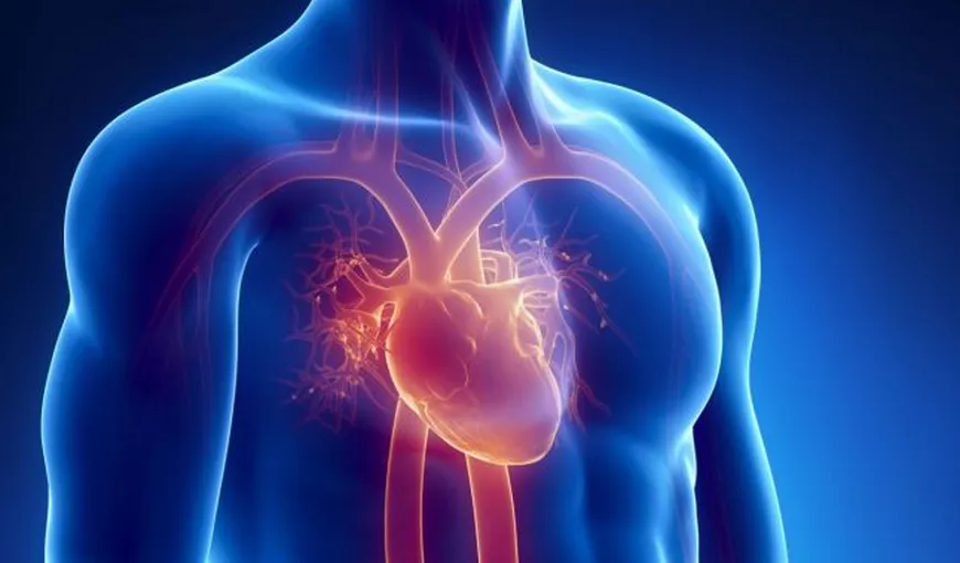 Oamenii de ştiinţă au inventat un plasture care reface inima după infarct