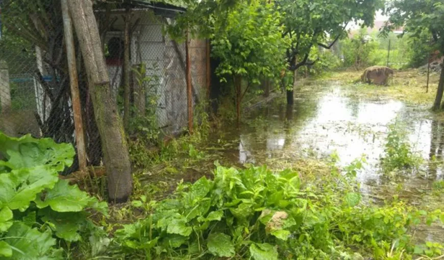 Dezastru în Târgu Jiu. Casele din zona Coloanei Infinitului, pline de apă VIDEO