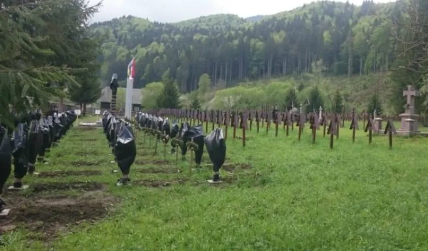 Situaţia Cimitirului eroilor de la Valea Uzului, dezbătută de specialişti români şi maghiari, la Bucureşti