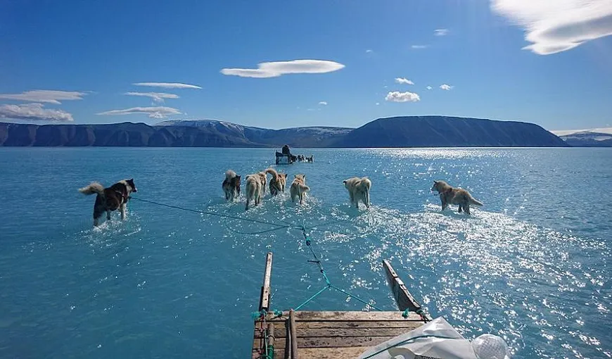 Aproape jumătate din suprafaţa Groenlandei, acoperită de apă într-o zi. Ce consecinţe poate avea asupra mediului