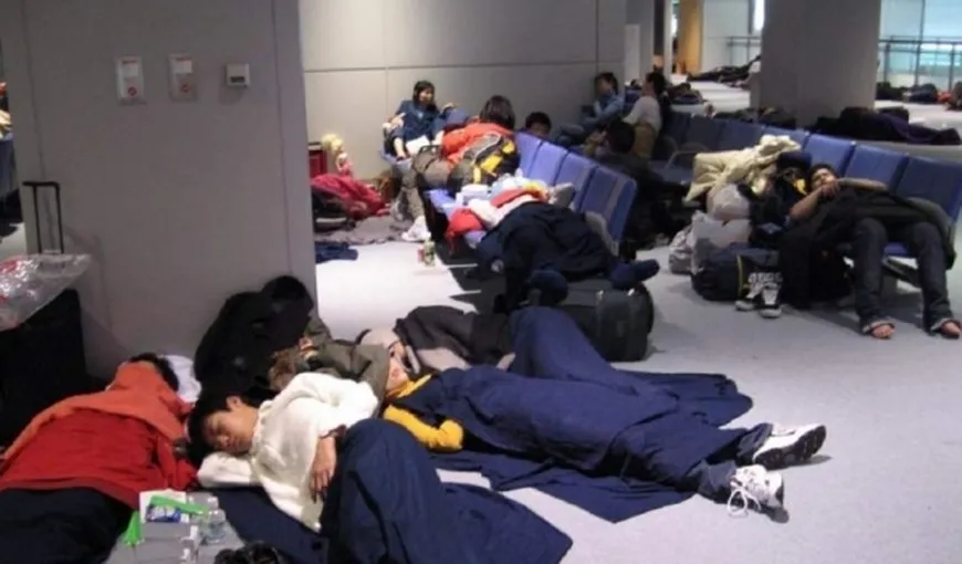 Soţia profesorului care a organizat ilegal tabere la New York şi Tokyo a fost ridicată de pe Aeroportul Otopeni
