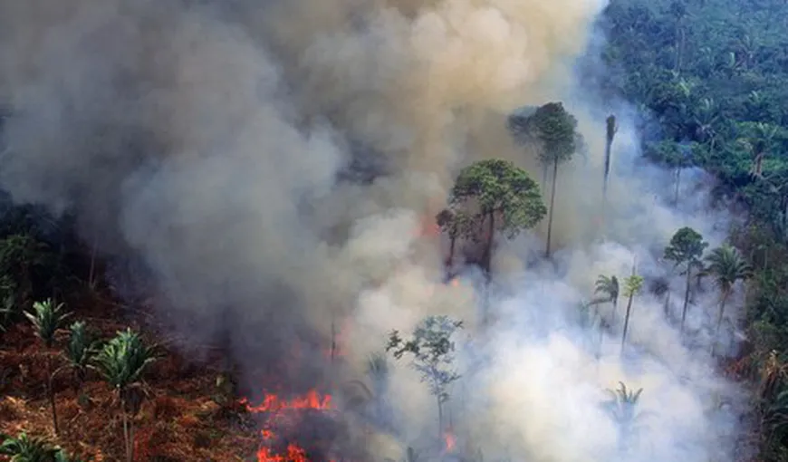 Sub presiune internaţională, președintele Braziliei autorizează intervenţia armatei pentru stingerea incendiilor din bazinul Amazon