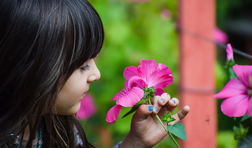 ATENŢIE! Plante care îţi pot otrăvi copilul. Ce să nu ţii în casa şi grădina când ai copii mici