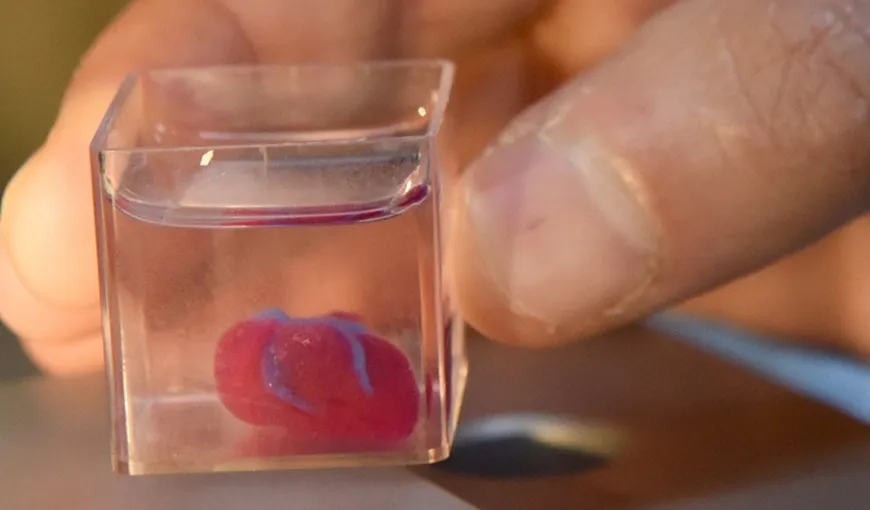 Realizare revoluţionară! Cercetători americani au imprimat în 3D părţi funcţionale ale inimii