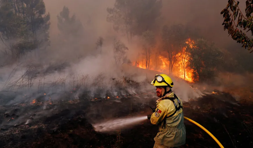 Incendiu forestier pe o insulă turistică populară. Cinci mii de persoane au fost evacuate de urgenţă