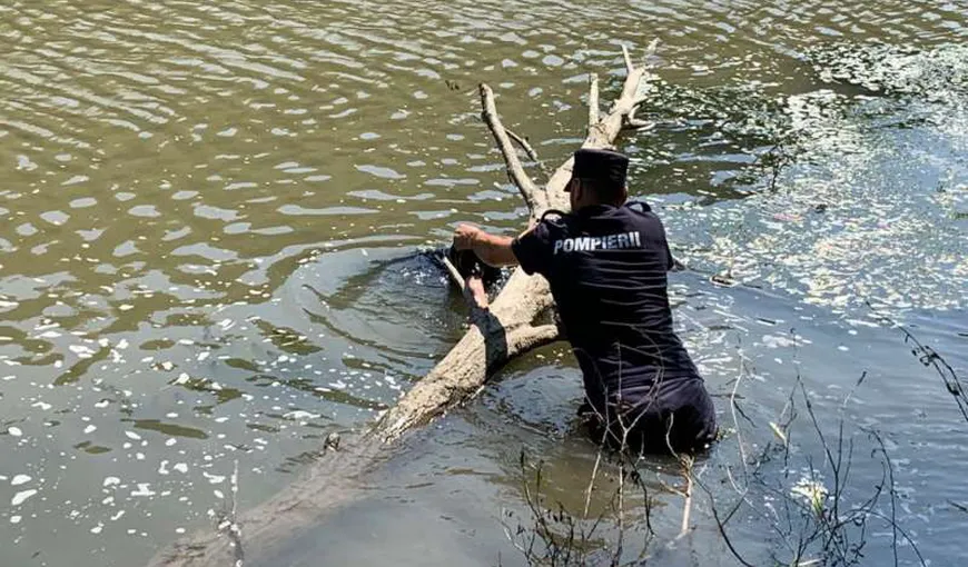 O femeie de 50 de ani a murit înecată pe râul Olt