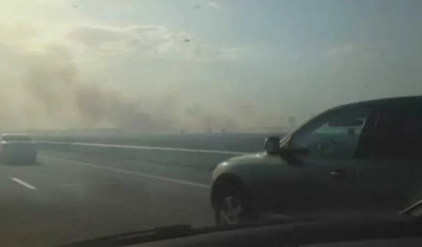 Circulaţie îngreunată pe Autostrada Soarelui din cauza unui incendiu de vegetaţie