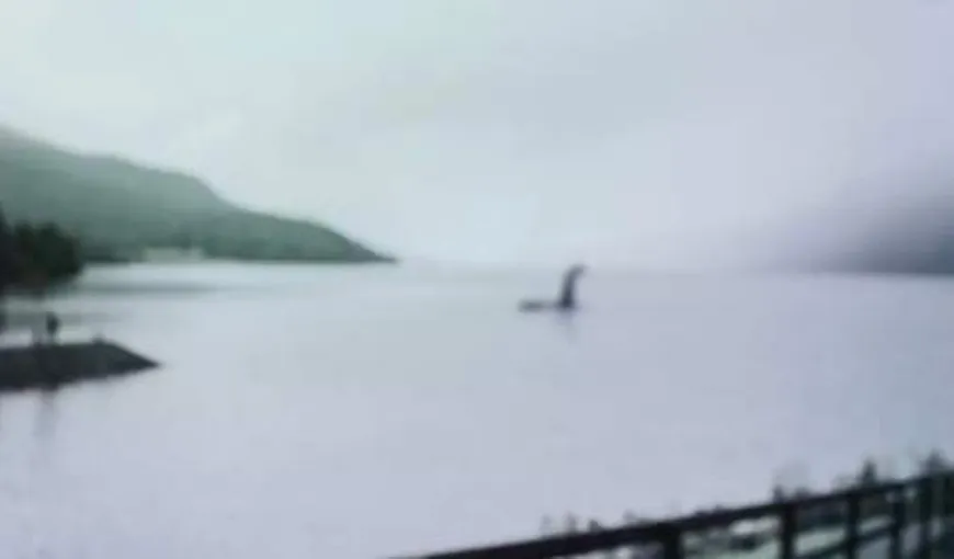 Mister desluşit. S-a aflat ce este monstrul din Loch Ness de fapt! Testele ADN au confirmat