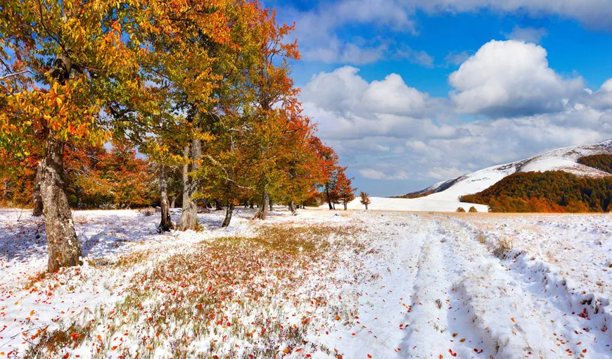 Imagini cu prima ninsoare a toamnei, în România. Unde au căzut primii fulgi VIDEO