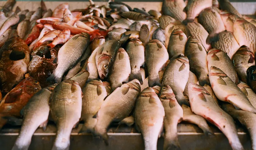 Tone de peşte stricat retrase de la comercializare, în urma unor controale ANPC. Care sunt supermarketurile care îl comercializau