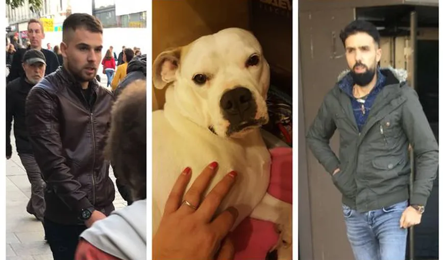 Scene şocante între români, în Anglia. Doi fraţi au înjunghiat un compatriot şi i-au aruncat câinele de la etaj VIDEO