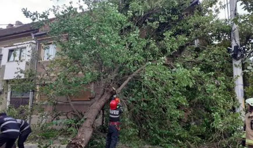 Vântul a făcut prăpăd, copacii au căzut pe case şi maşini VIDEO