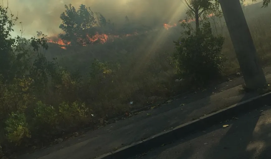 Incendiu puternic în Bucureşti în apropiere de Delta Văcăreşti – VIDEO UPDATE