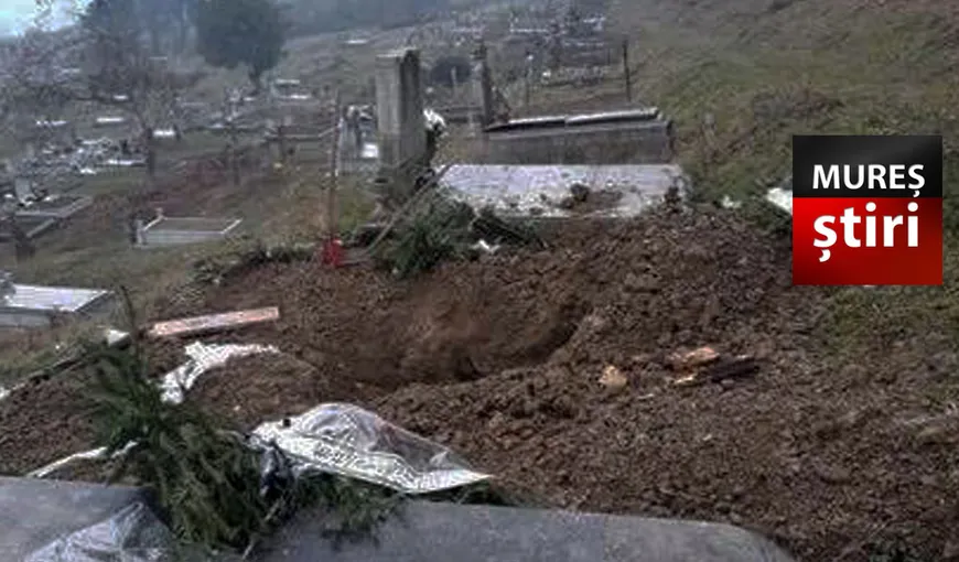 Cadavru dezgropat de urs într-un cimitir. Avertizare Ro Alert în Bistriţa după ce 3 urşi au fost văzuţi în oraş