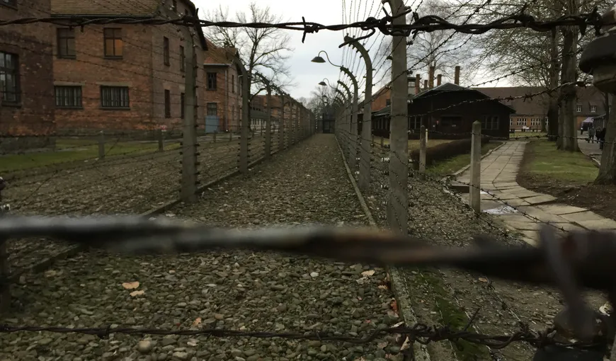 CEDO a condamnat Austria pentru defăimarea unuia dintre supravieţietorii lagărului nazist Mauthausen