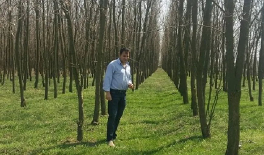 Decizie revoltătoare! Un fermier a plantat 40.000 de copaci pe terenul său. Garda de Mediu l-a amendat