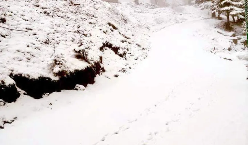 NINSORI în România. Fenomene de iarnă în primele zile din decembrie