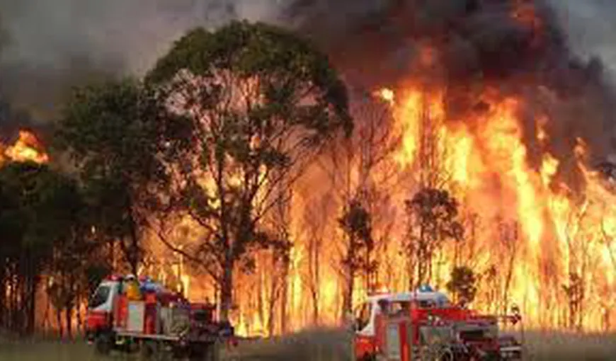 Australia: Două persoane au murit şi 150 de case au fost distruse în urma incendiilor de vegetaţie