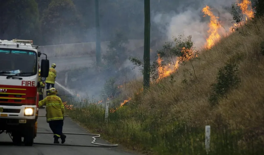 Incendii apocaliptice în Australia. Peste 1,1 milioane de hectare sunt mistuite de flăcări