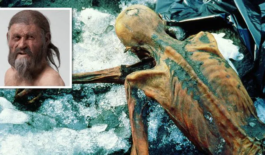 Ce s-a întâmplat cu Otzi, bărbatul ce a stat conservat în gheață vreme de 5.300 de ani