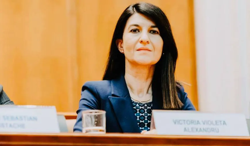 Violeta Alexandru, despre salarii neplătite la ITM: „Am sesizat comisiile de disciplină din Minister şi din Inspecţia Muncii”