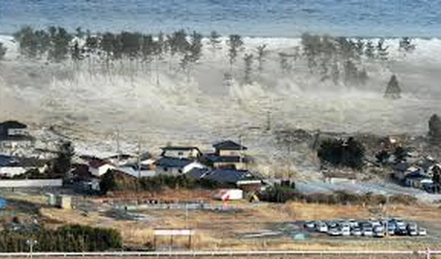 15 ani de la tsunami-ul care a devastat sud-estul Asiei. Comunităţi asiatice comemorează cele 230.000 de victime