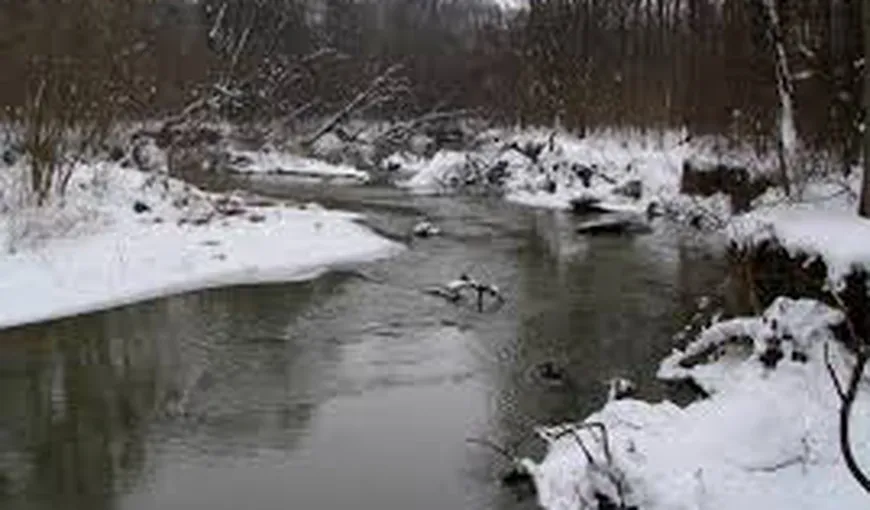 Doi adolescenţi de 14 ani din Braşov, daţi dispăruţi. Unul a fost găsit mort în râul Olt