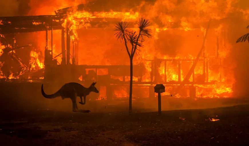 Incendiile au scăpat de sub control în Australia: sunt cel puţin 23 de morţi