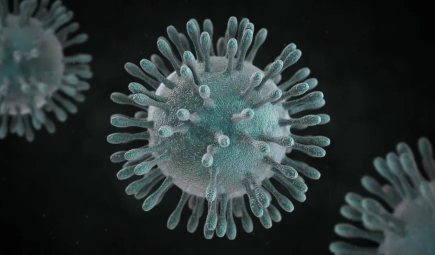 Cercetători din Hong Kong avertizează: Guvernele ar trebui să impună măsuri draconice pentru a limita propagarea coronavirusului