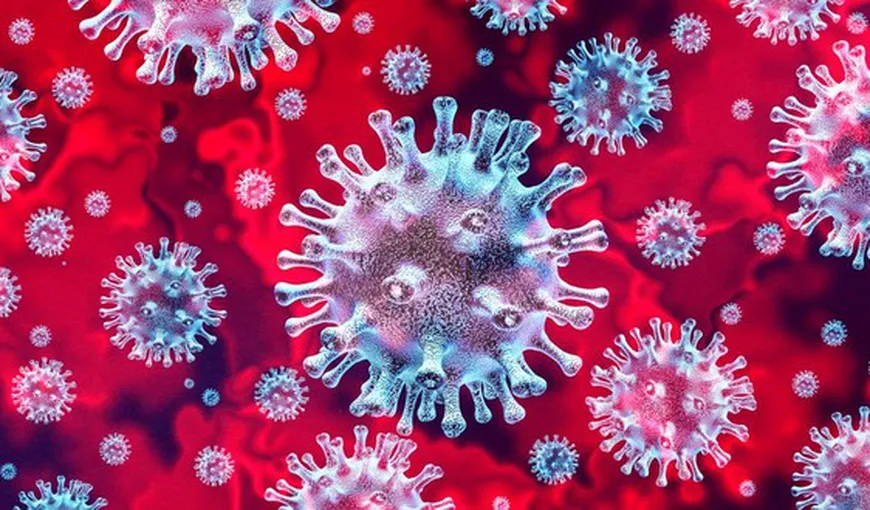 Şedinţa Comitetului interministerial pentru monitorizarea potenţialelor infecţii cu noul coronavirus. „Nu încercaţi teste rapide”