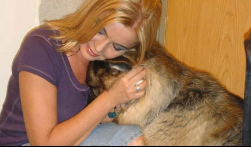 Răsturnare de situaţie. Cei doi câini găsiţi morţi în casa Cristinei Ţopescu au fost ucişi: „Reacţiona foarte agresiv”