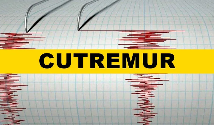 Cutremur de magnitudine 3,4 în zona Vrancea chiar de Anul Nou