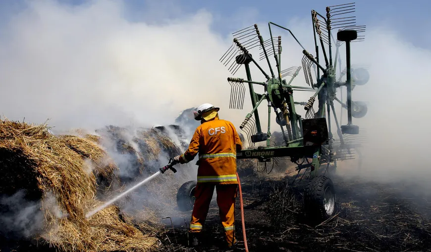 Australia, în flăcări: incendiile de vegetaţie au pârjolit peste 103.000 de kilometri pătraţi