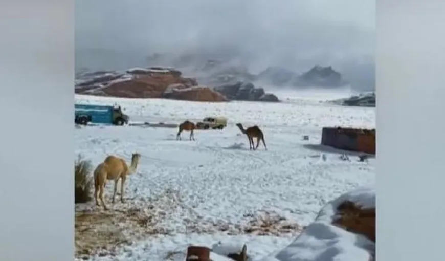 A nins în deşert! Fenomen meteo extrem în Arabia Saudită VIDEO