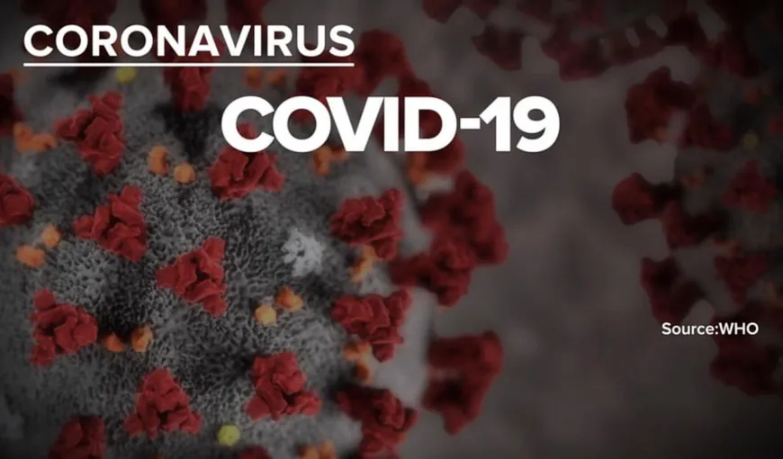 Cele mai căutate informaţii pe Google despre coronavirusul ucigaş