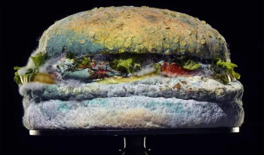 Reclama controversată, mâncarea care îţi întoarce stomacul pe dos. De ce este promovat burgerul mucegăit? VIDEO