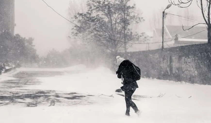 Haos după ninsorile viscolite în România: drumuri închise, copaci căzuţi, trenuri anulate şi şcoli închise