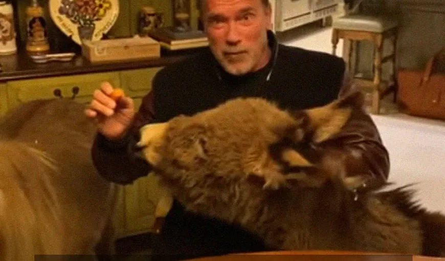 Arnold Schwarzenegger s-a autoizolat la domiciliu cu animalele sale de companie: poneiul Whiskey şi măgarul Lulu VIDEO