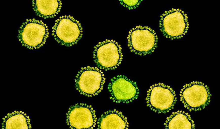 Depistarea noului coronavirus poate fi făcută în doar 45 de minute. „Soluția sănătoasă e la un avion distanță”