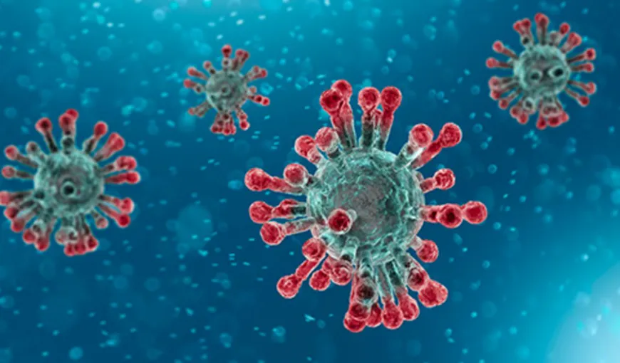Pandemie coronavirus. Ce măsuri de salvare a economiei adoptă ţările din Europa Centrală şi de Est