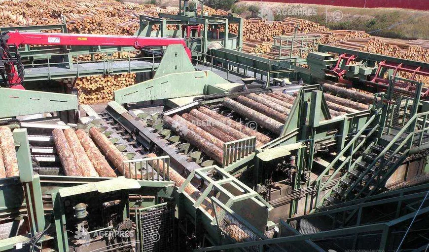 HS Timber Group, măsuri suplimentare pentru protecţia angajaţilor după un deces de Covid-19 la fabrica din Rădăuţi