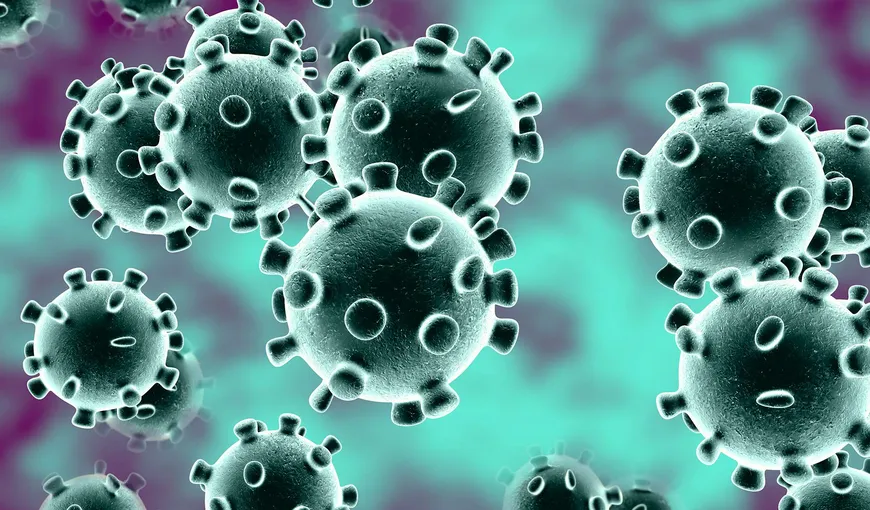 Pandemie CORONAVIRUS. Infecţiile nosocomiale au ucis jumătate dintre victimele cu COVID-19
