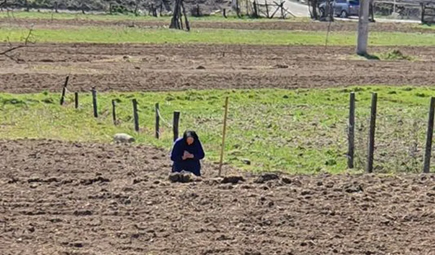 Fotografia cu bătrâna care se roagă în mijlocul câmpului, virală pe internet. „Doar pentru astfel de persoane ne mai îngăduie Dumnezeu”