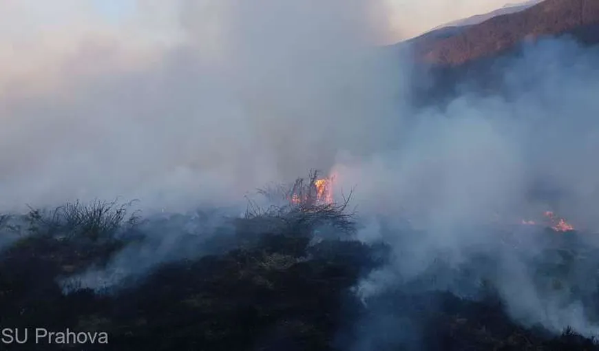 Incendiu de vegetaţie uscată în Valea Doftanei. 250 de hectare au fost cuprinse de flăcări