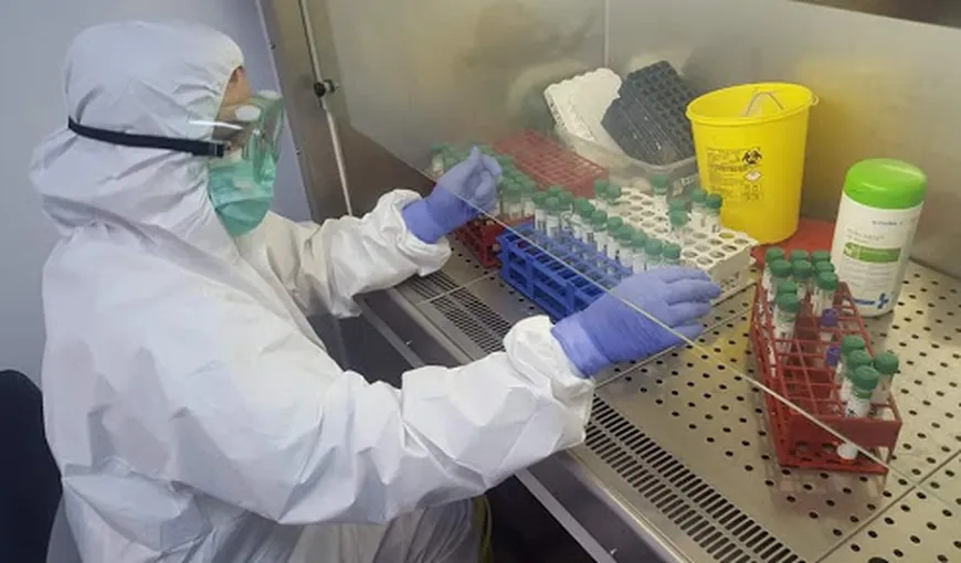 CORONAVIRUS. 51.802 de teste pentru coronavirus au fost prelucrate în România