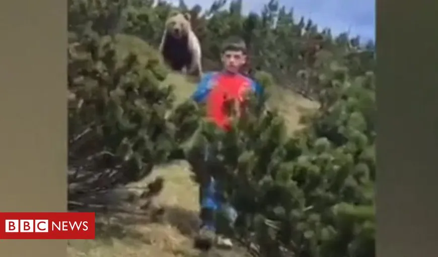 Imagini şocante! Un băieţel de doar 12 ani este urmărit de un urs brun în timpul unei excursii – VIDEO