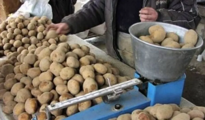 România rămâne fără cartofi! Producţia a scăzut cu peste 90%! Cum s-a ajuns în situaţia asta?